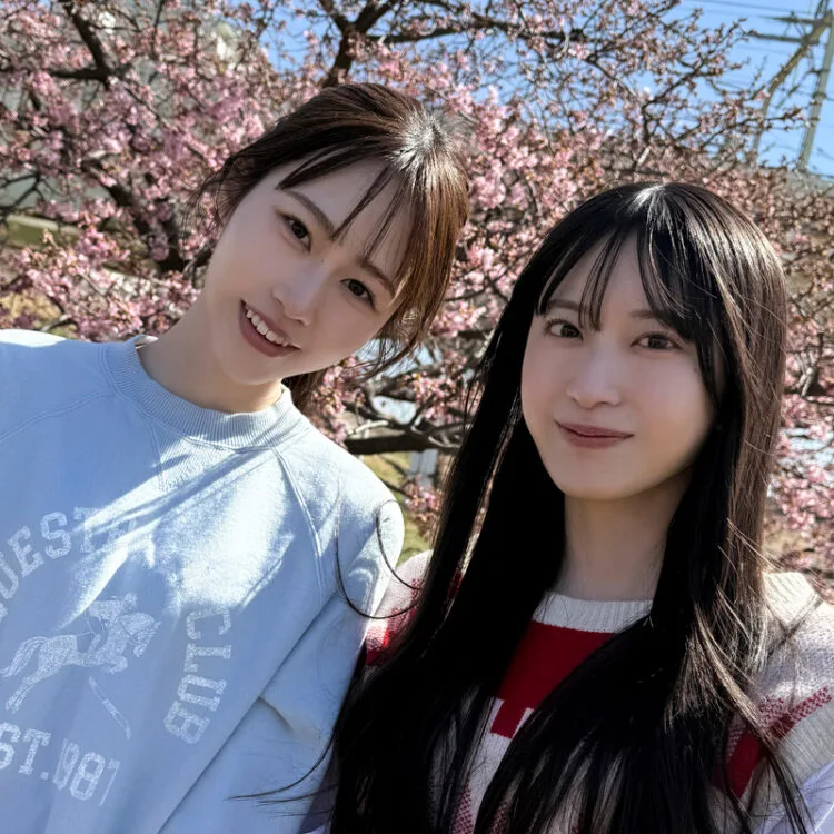 【#教えてキミのこと。ボムQ＆A】櫻坂46 向井純葉ちゃん編