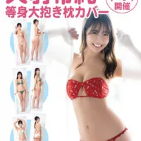 等身大抱き枕カバー